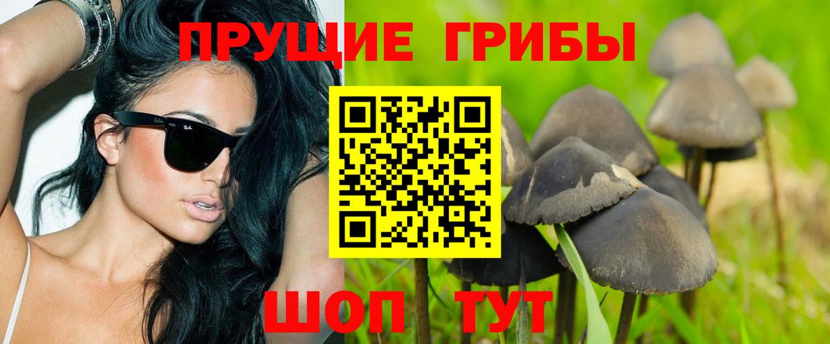 Псилоцибиновые грибы Magic Shrooms Волгодонск