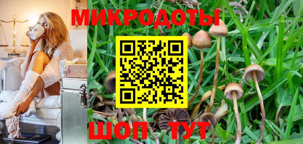 Волгодонск  Галлюциногенные грибы MAGIC MUSHROOMS  закладка  Вход с VPN 